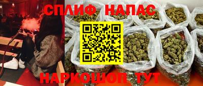 гашик Кинель
