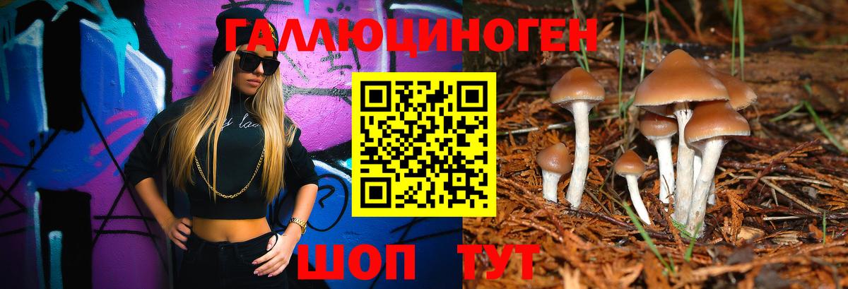 Псилоцибиновые грибы GOLDEN TEACHER  Вход с VPN  Усть-Джегута  Галлюциногенные грибы Magic Shrooms 
